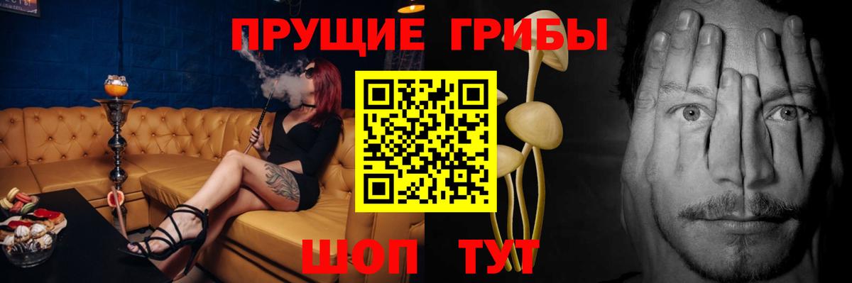 Псилоцибиновые грибы прущие грибы Татарск
